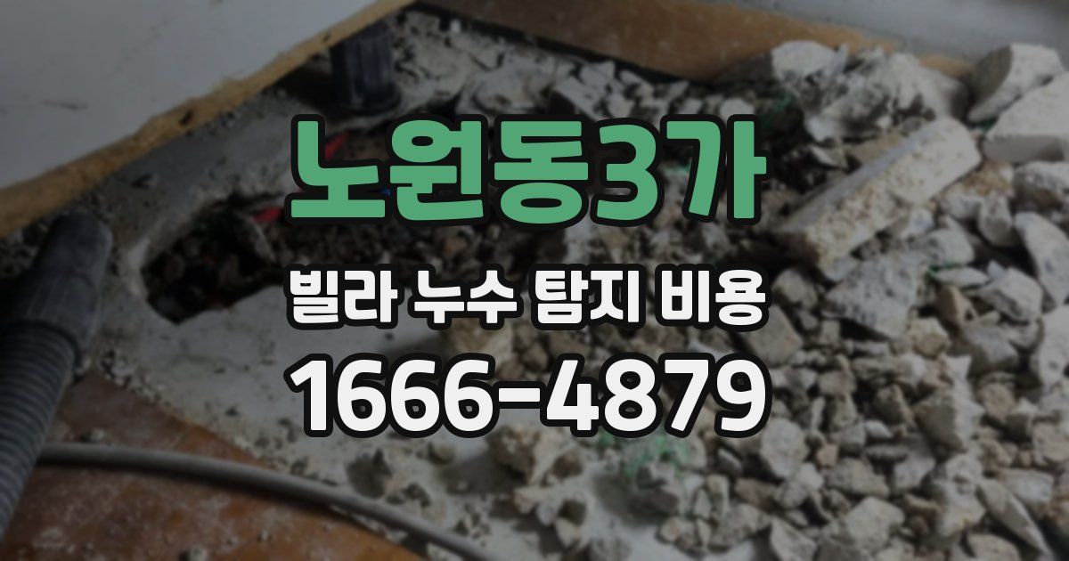 노원동3가 빌라 누수 탐지 비용