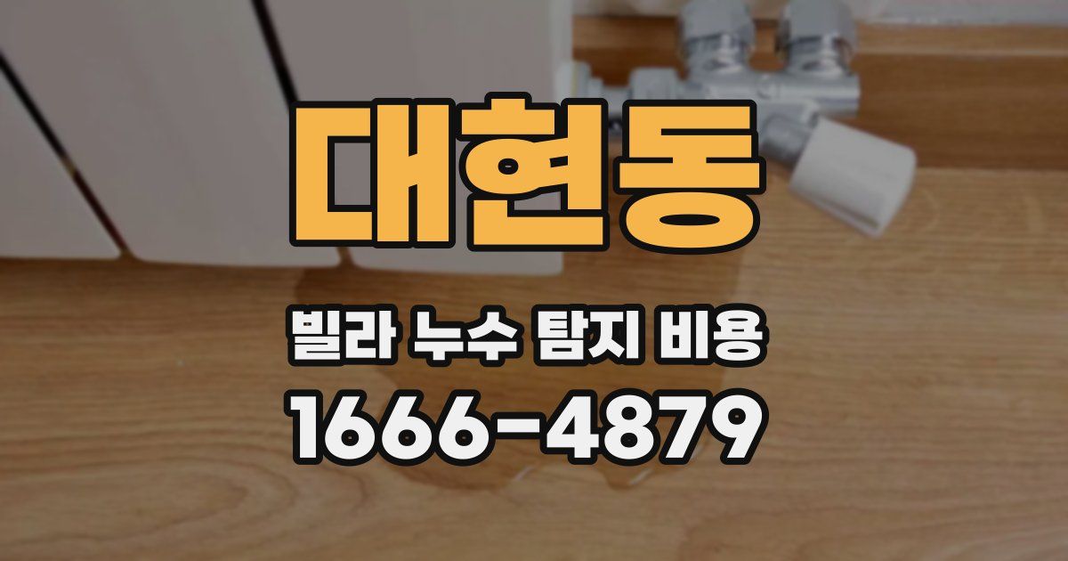 대현동 빌라 누수 탐지 비용
