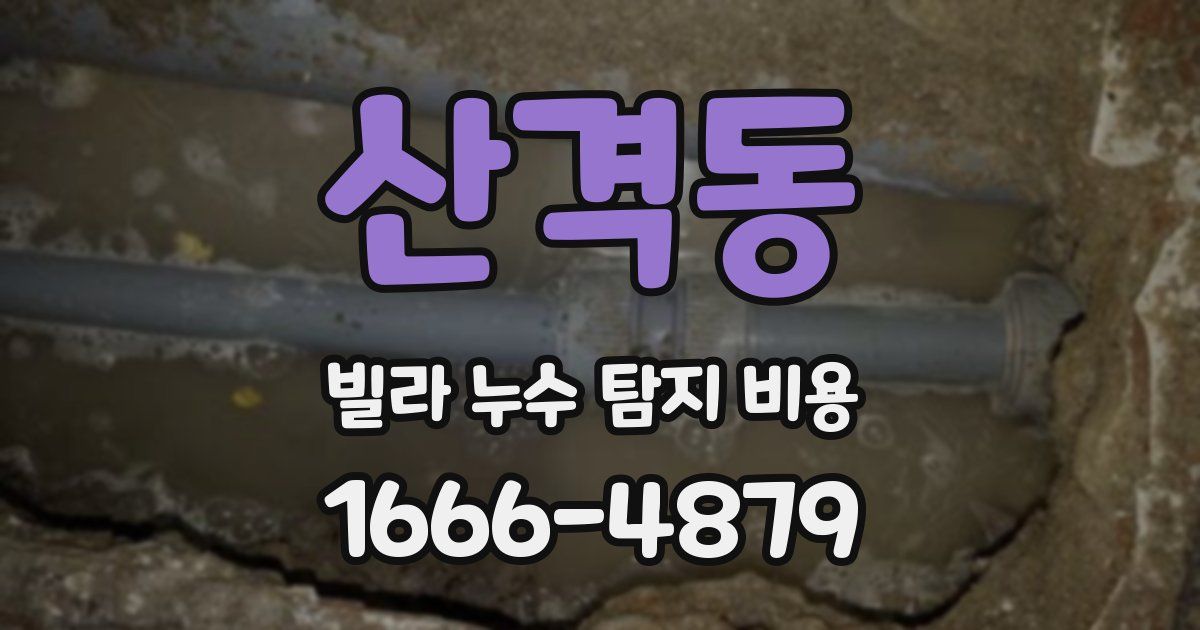 산격동 빌라 누수 탐지 비용