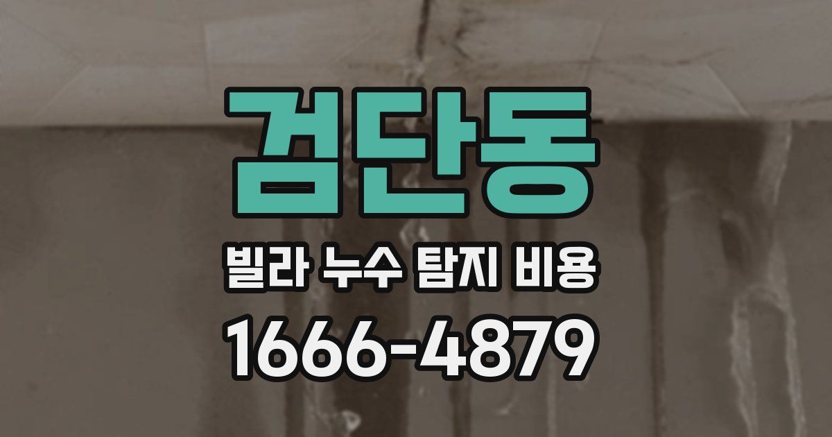 검단동 빌라 누수 탐지 비용