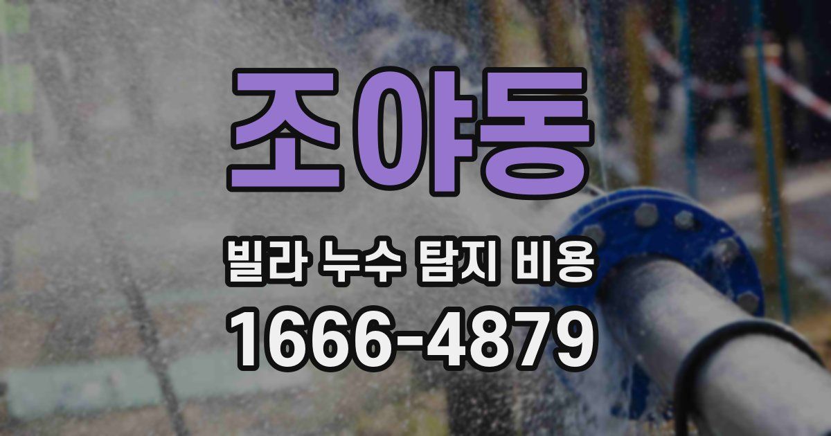 조야동 빌라 누수 탐지 비용