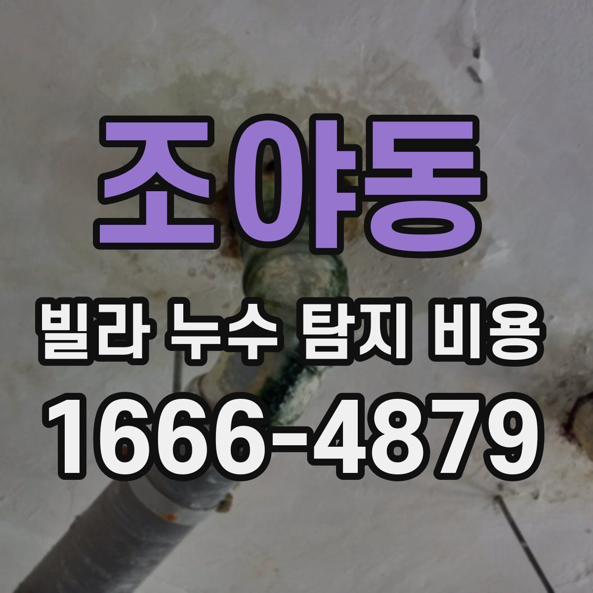 조야동 빌라 누수 탐지 비용