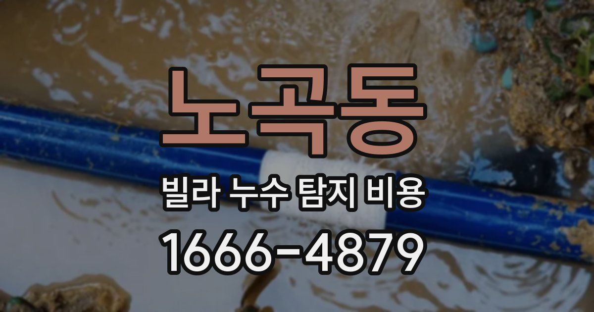 노곡동 빌라 누수 탐지 비용