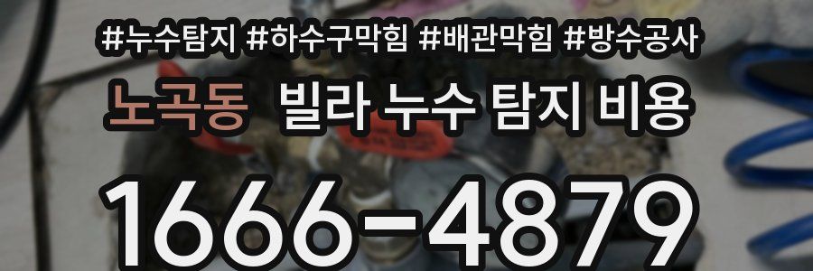 노곡동 빌라 누수 탐지 비용