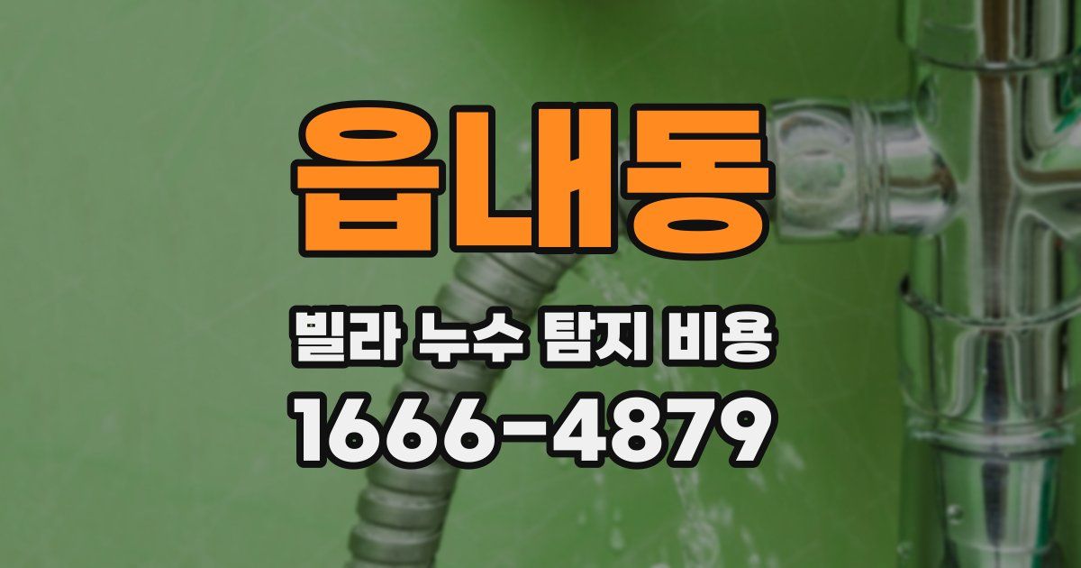 읍내동 빌라 누수 탐지 비용