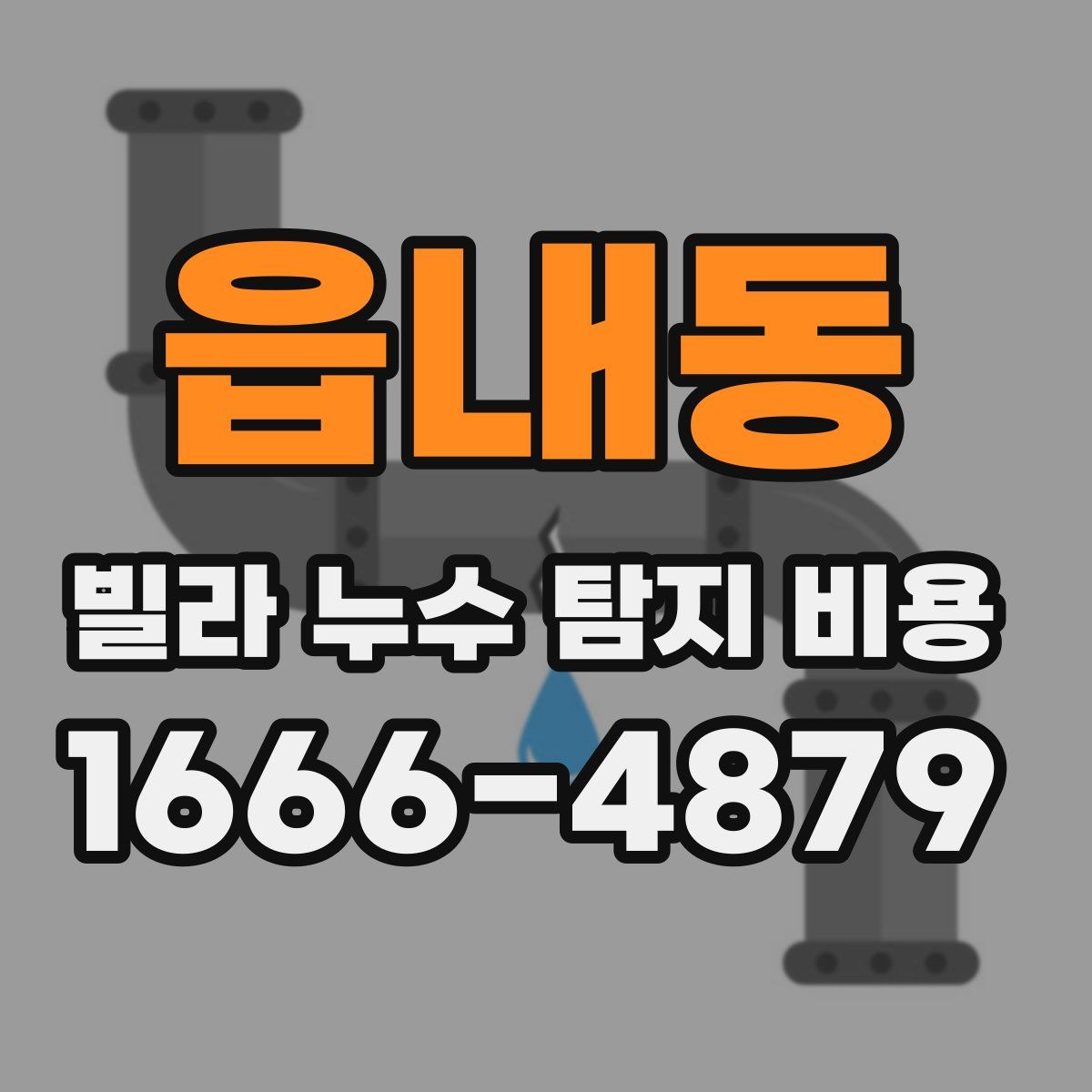 읍내동 빌라 누수 탐지 비용