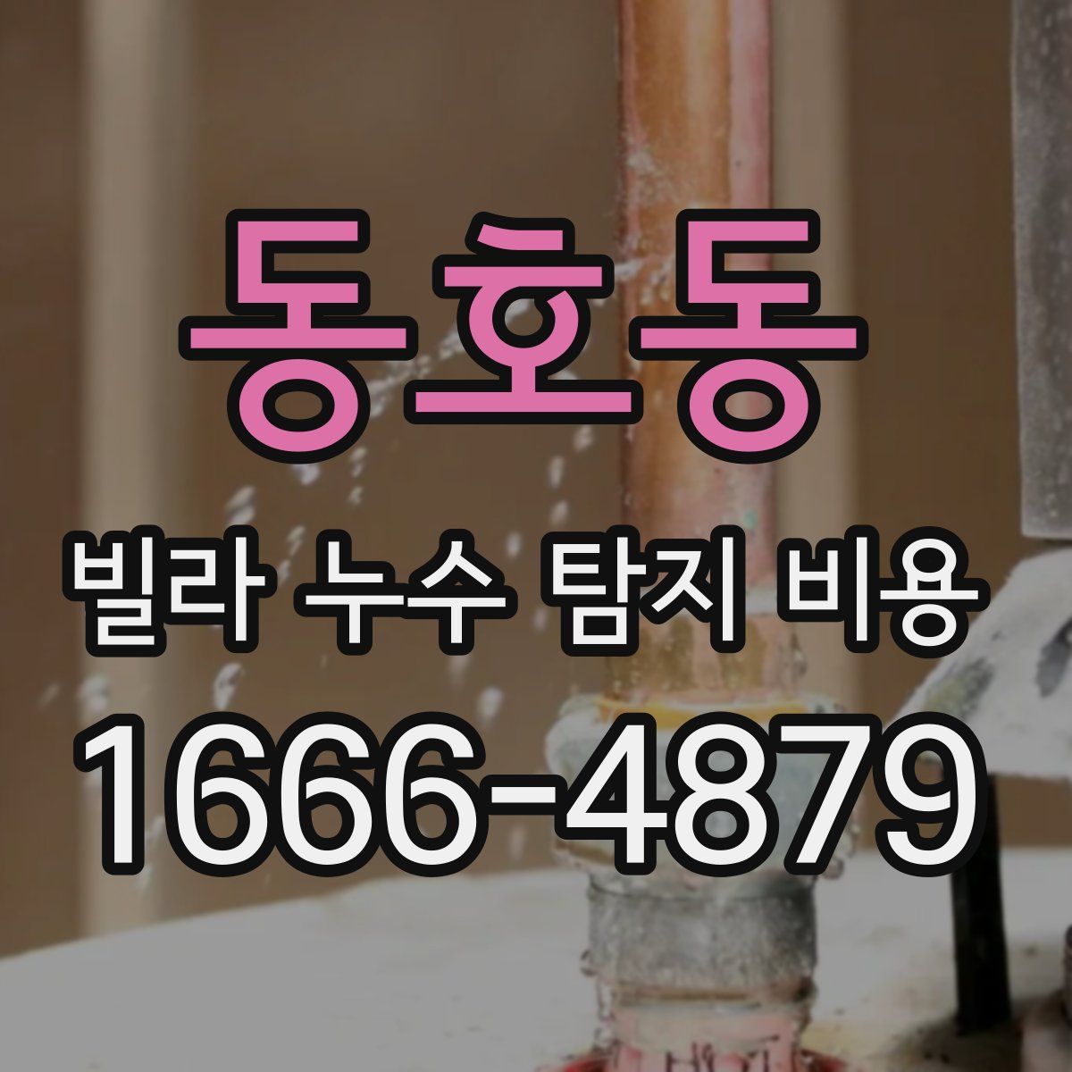동호동 빌라 누수 탐지 비용