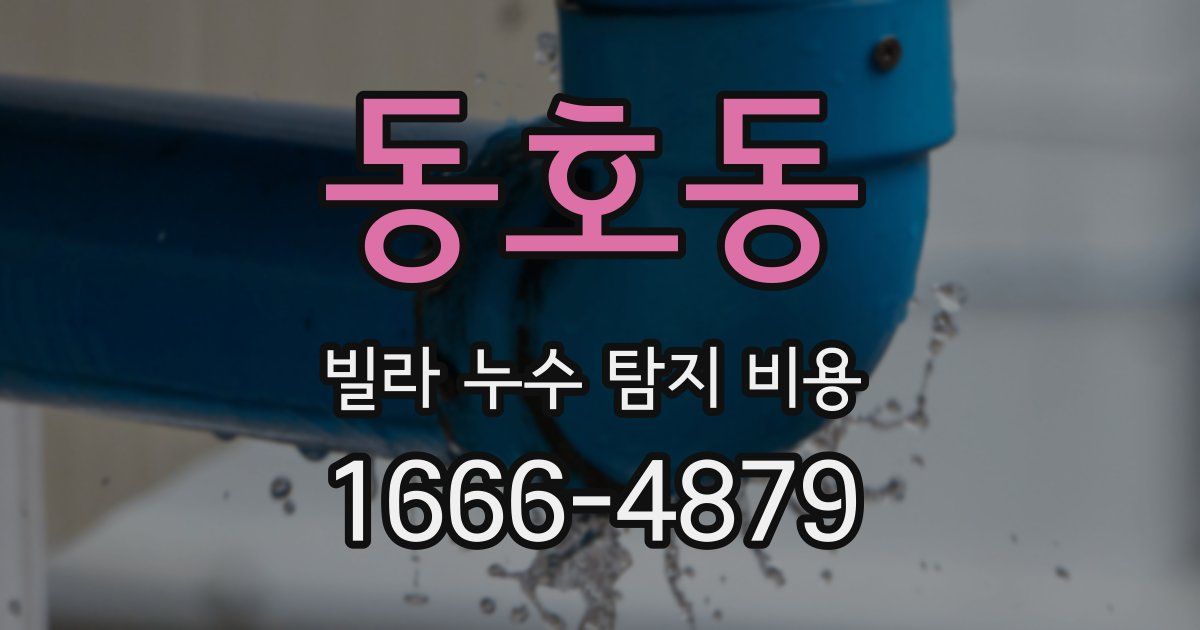 동호동 빌라 누수 탐지 비용