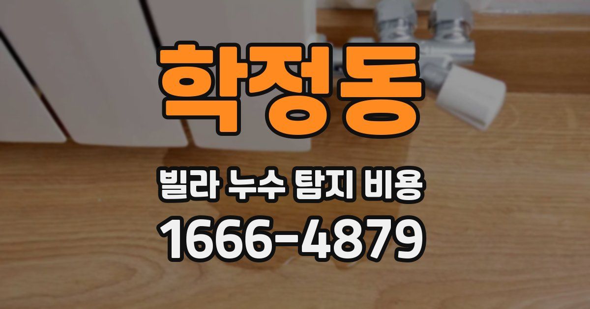 학정동 빌라 누수 탐지 비용