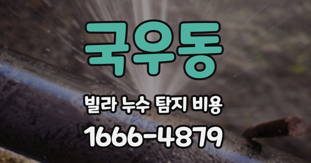 국우동 빌라 누수 탐지 비용
