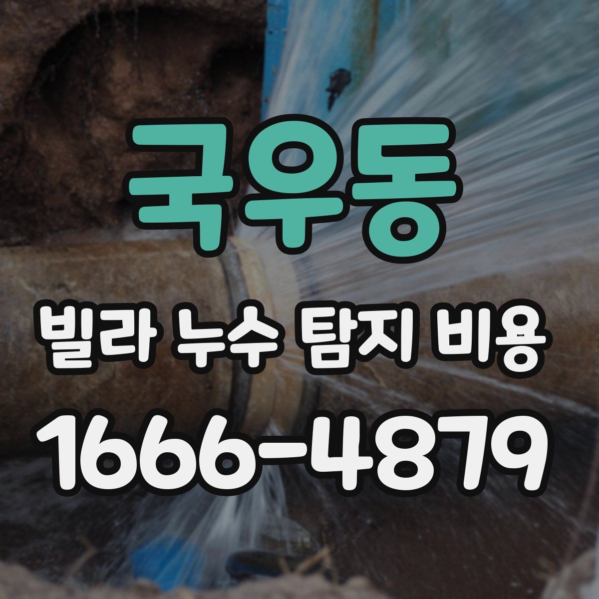 국우동 빌라 누수 탐지 비용