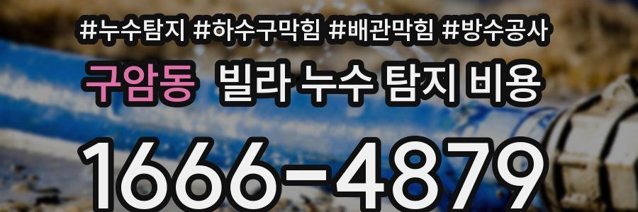 구암동 빌라 누수 탐지 비용