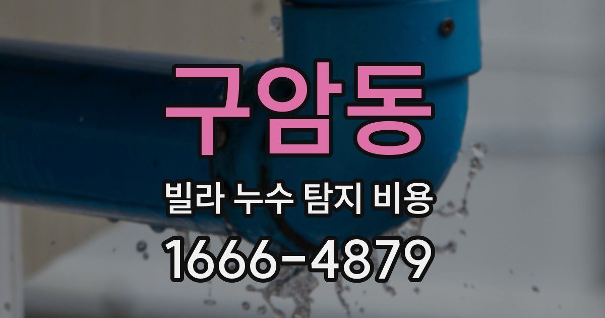 구암동 빌라 누수 탐지 비용