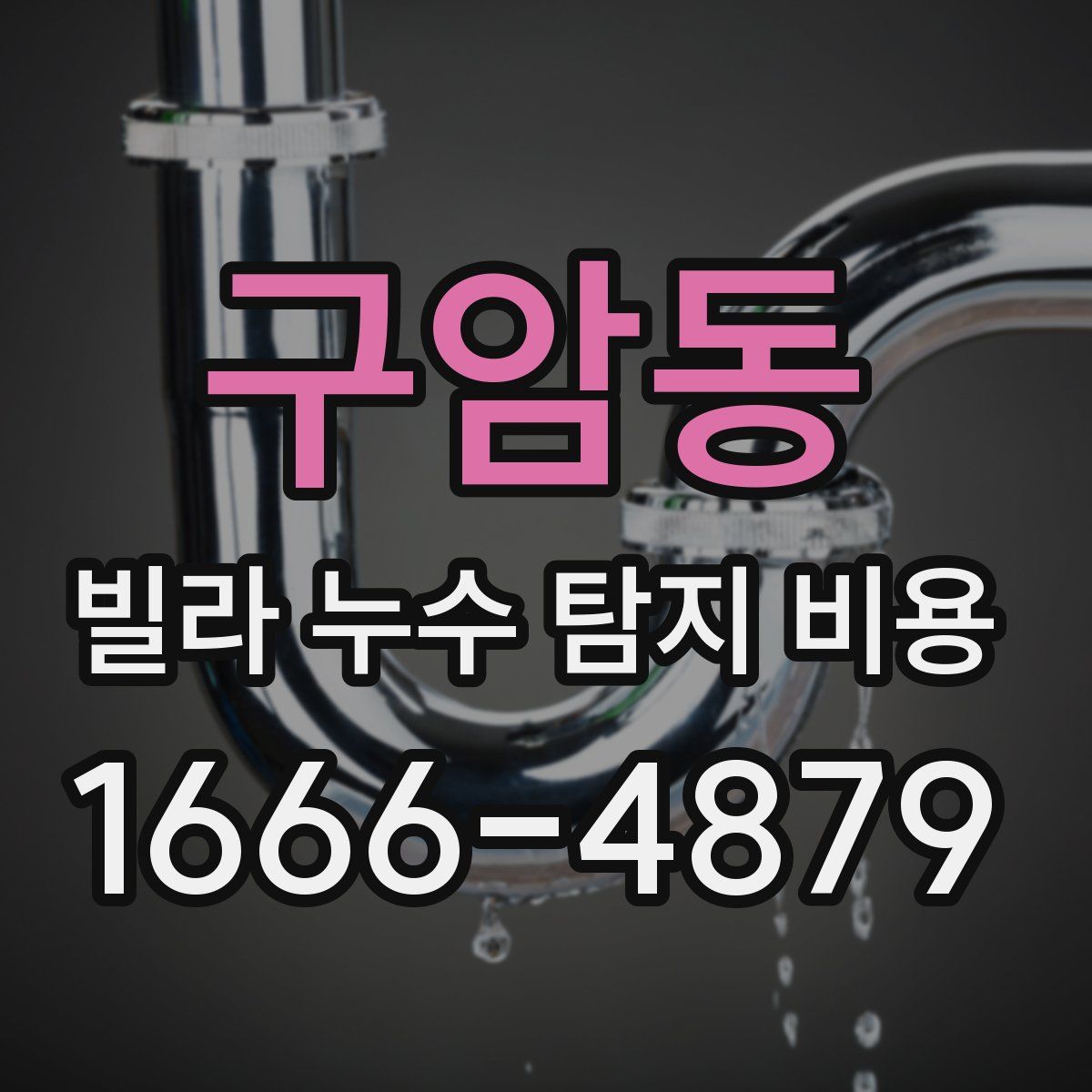 구암동 빌라 누수 탐지 비용