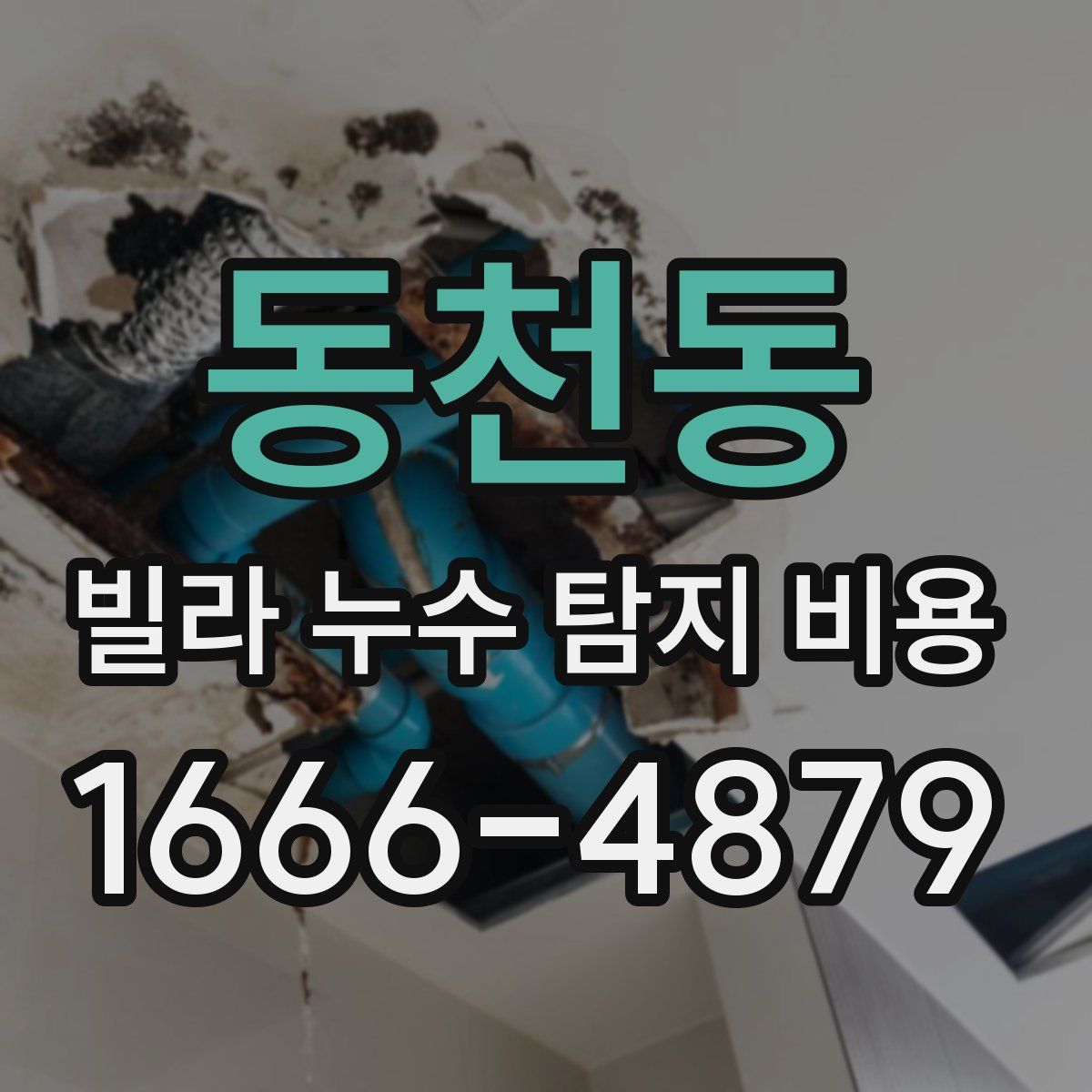 동천동 빌라 누수 탐지 비용