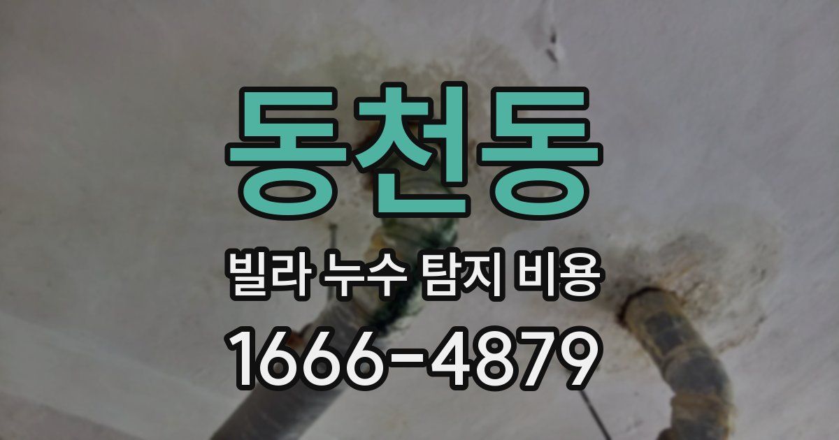동천동 빌라 누수 탐지 비용