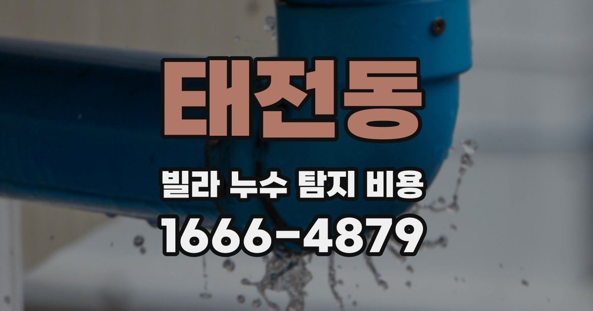태전동 빌라 누수 탐지 비용