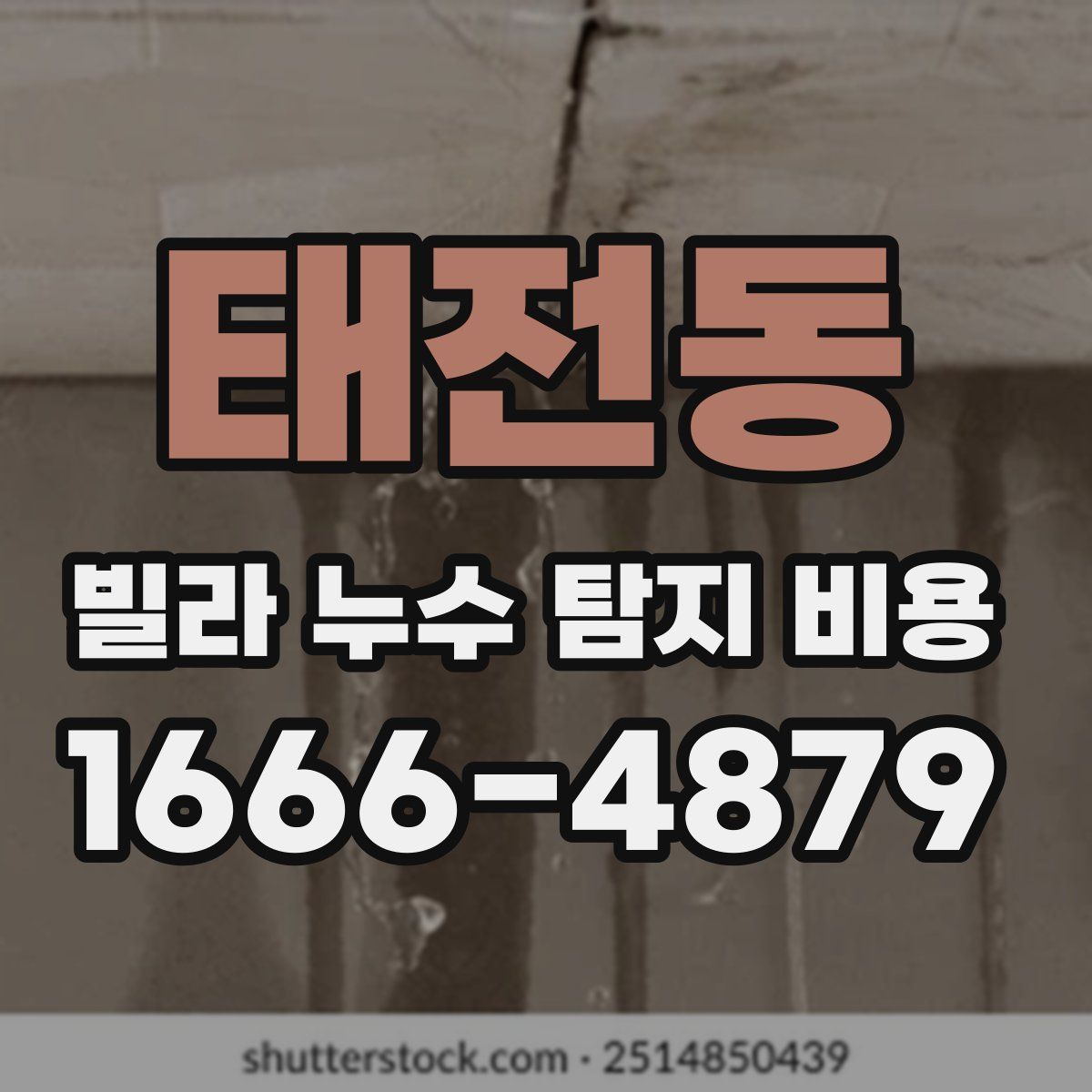 태전동 빌라 누수 탐지 비용