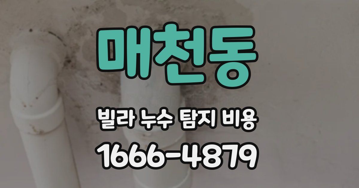 매천동 빌라 누수 탐지 비용