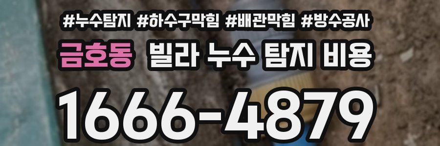 금호동 빌라 누수 탐지 비용