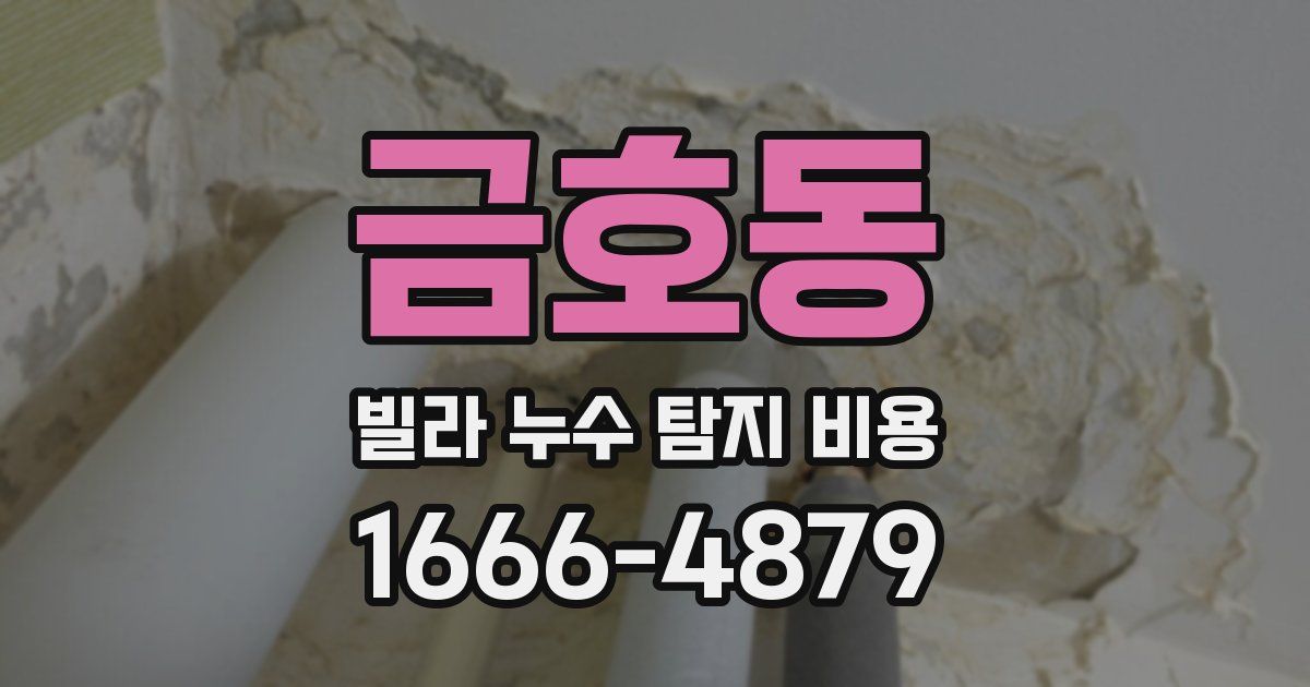 금호동 빌라 누수 탐지 비용