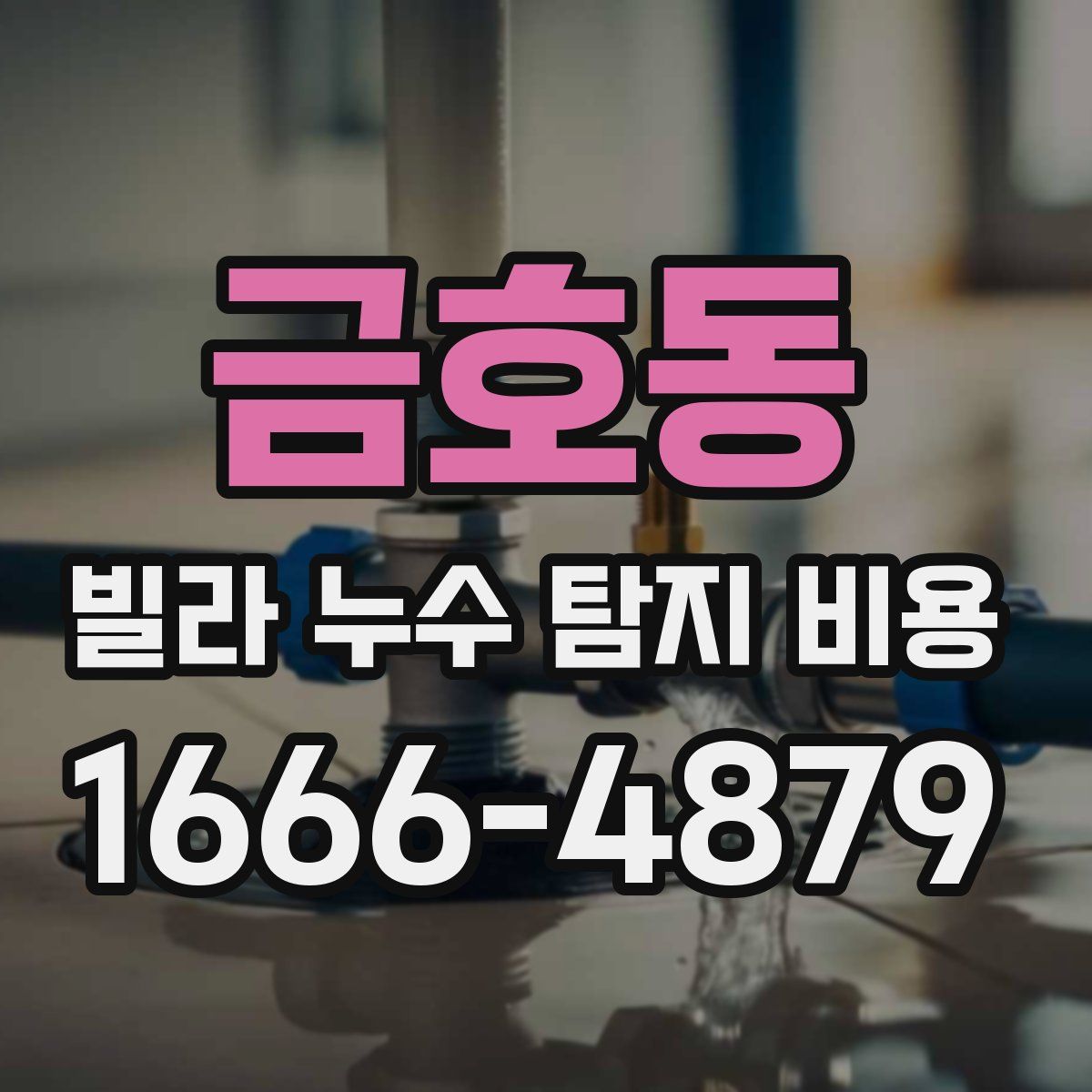 금호동 빌라 누수 탐지 비용