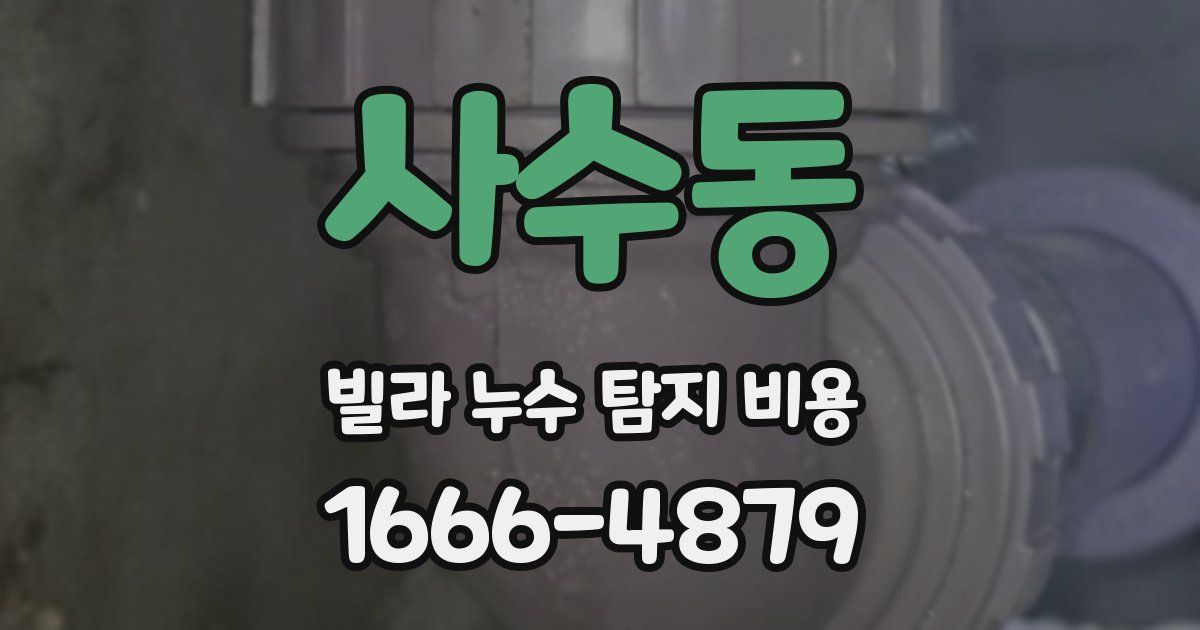 사수동 빌라 누수 탐지 비용
