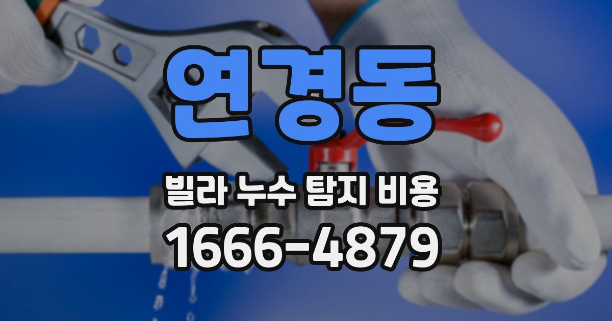 연경동 빌라 누수 탐지 비용
