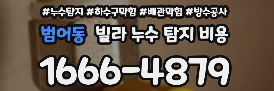 범어동 빌라 누수 탐지 비용