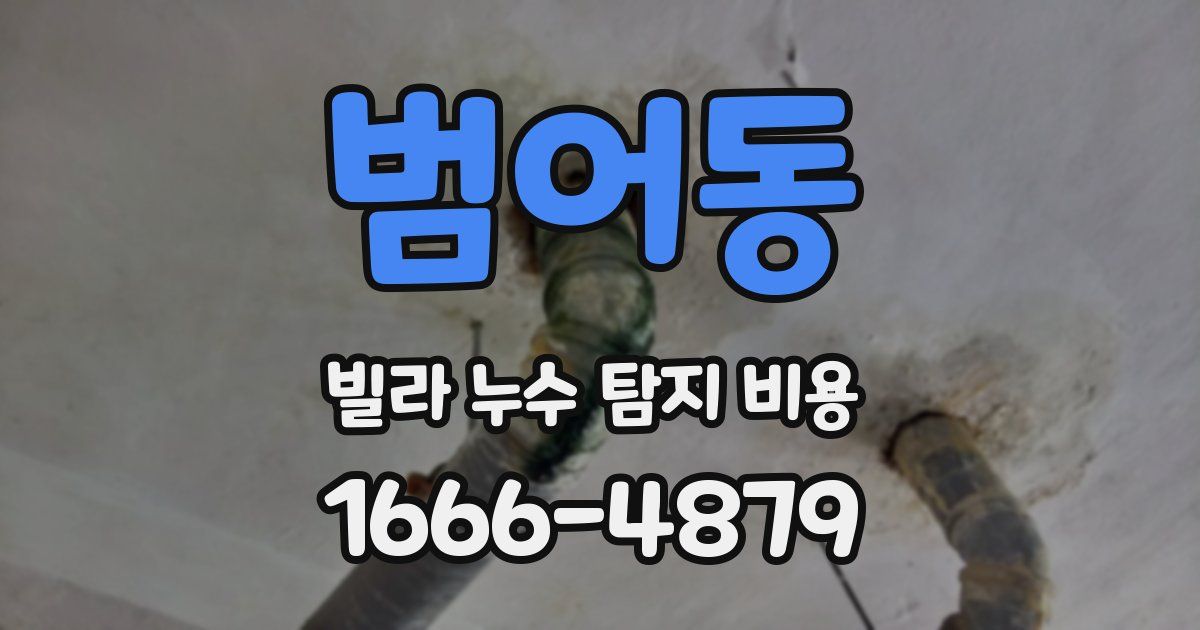 범어동 빌라 누수 탐지 비용