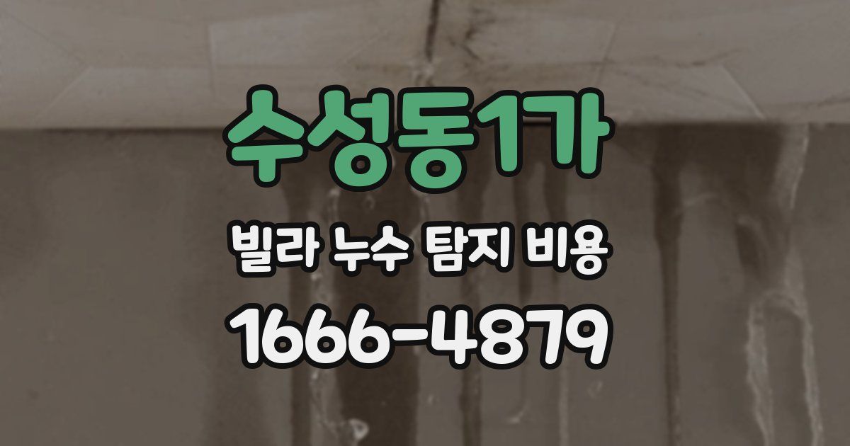 수성동1가 빌라 누수 탐지 비용