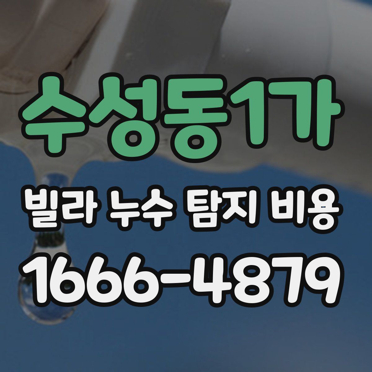 수성동1가 빌라 누수 탐지 비용