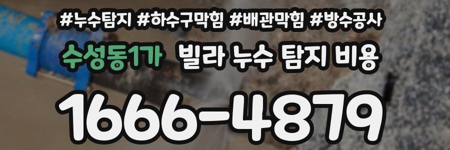 수성동1가 빌라 누수 탐지 비용