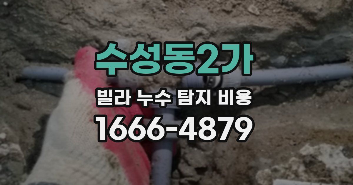 수성동2가 빌라 누수 탐지 비용