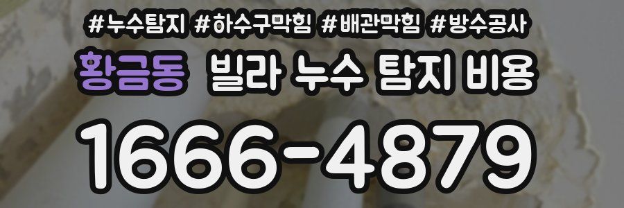 황금동 빌라 누수 탐지 비용