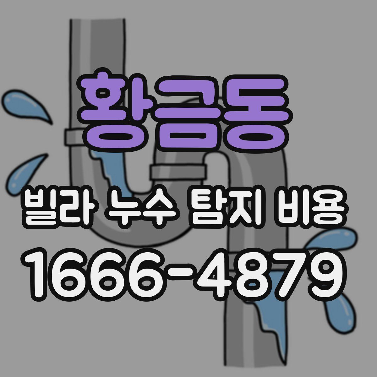 황금동 빌라 누수 탐지 비용