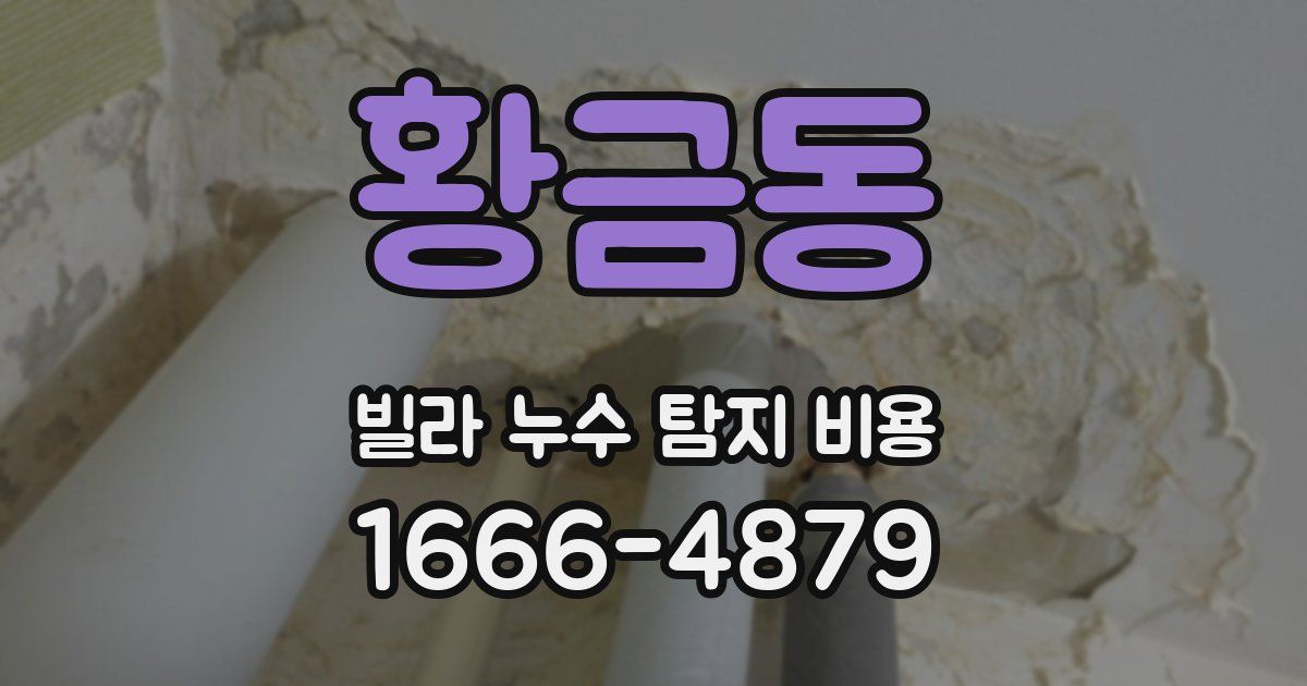 황금동 빌라 누수 탐지 비용