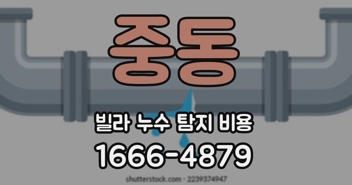 중동 빌라 누수 탐지 비용