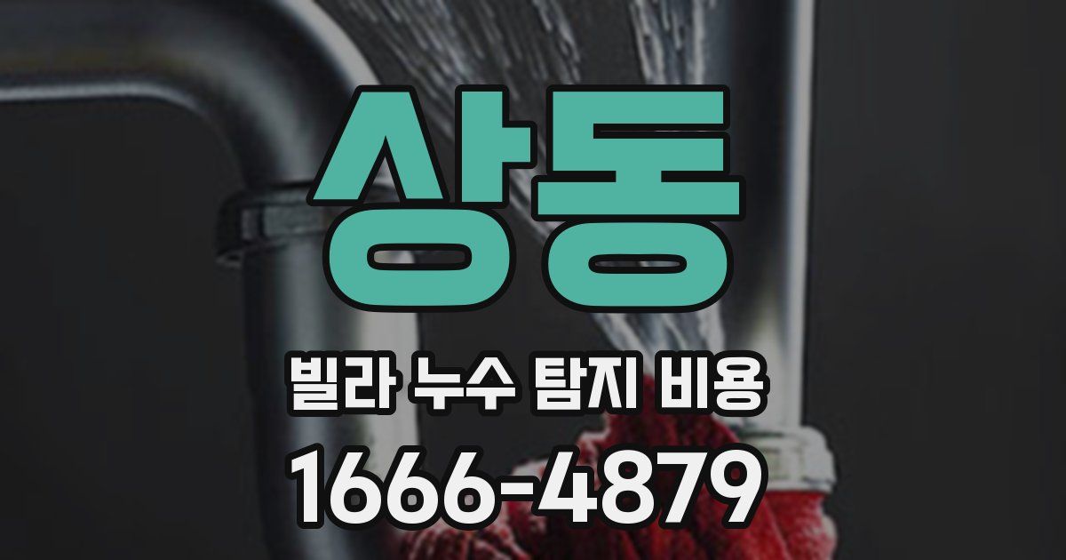상동 빌라 누수 탐지 비용