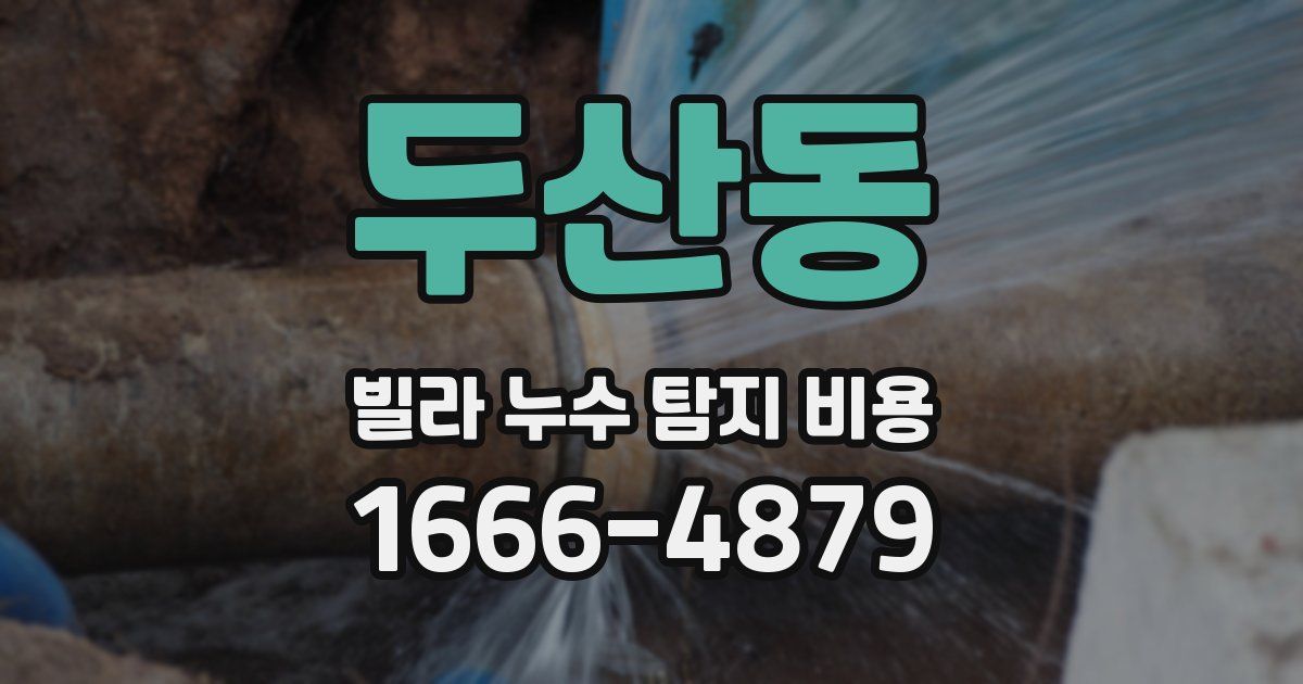 두산동 빌라 누수 탐지 비용