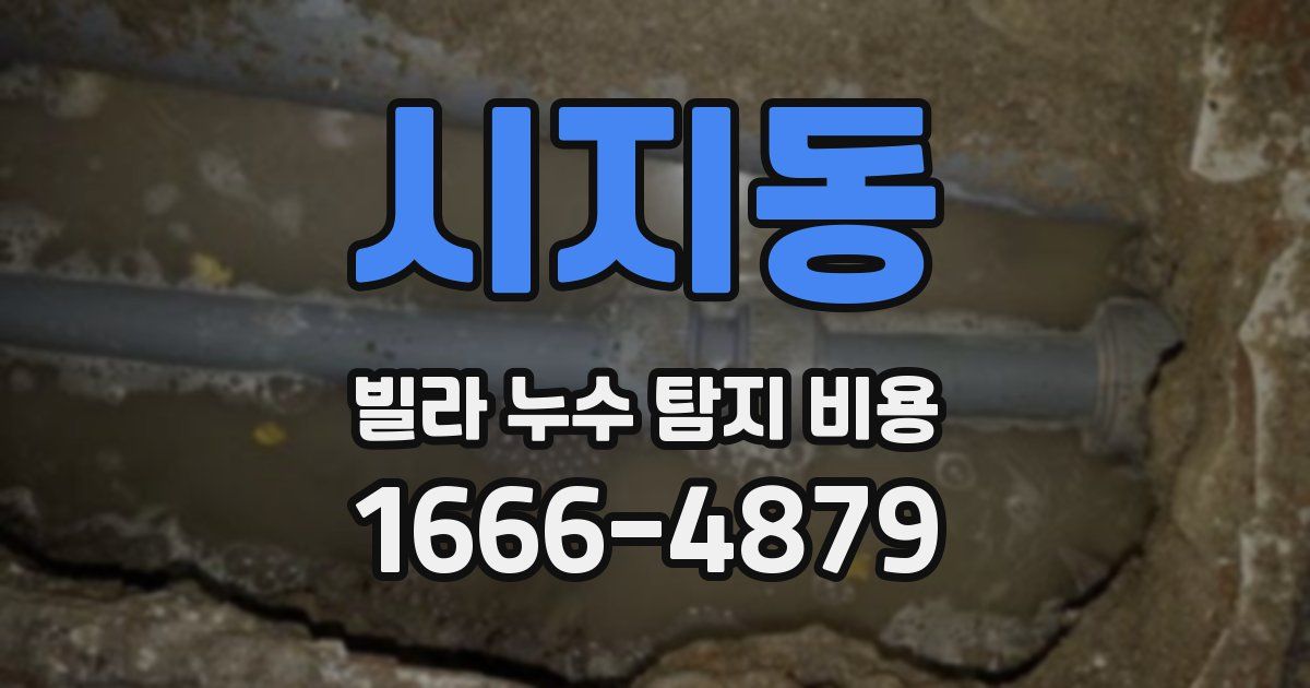 시지동 빌라 누수 탐지 비용