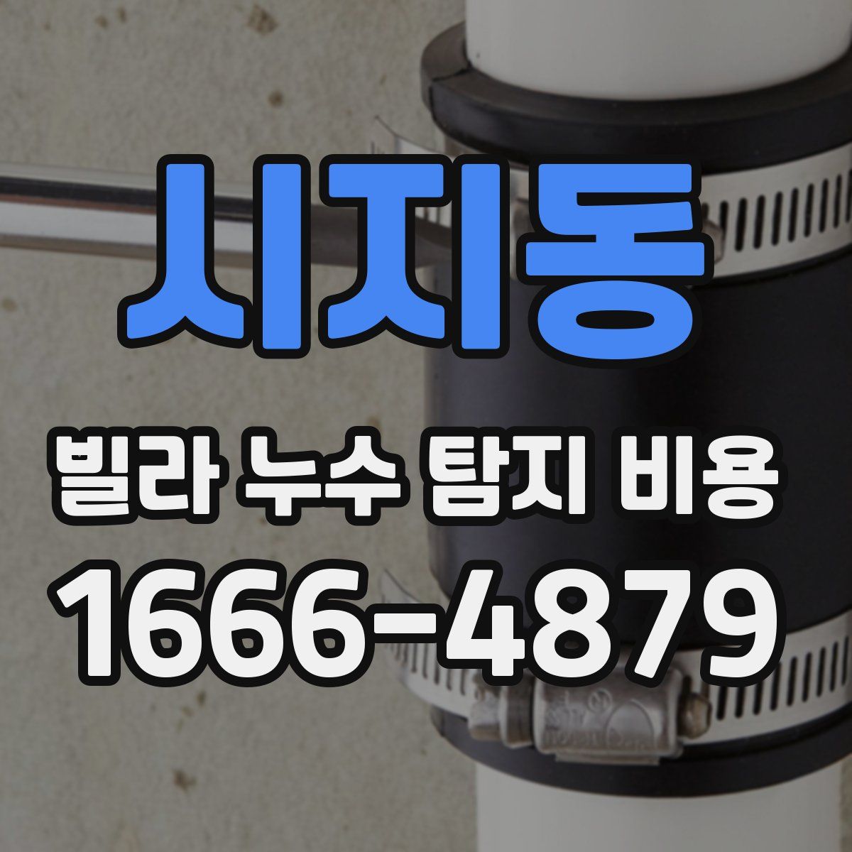 시지동 빌라 누수 탐지 비용