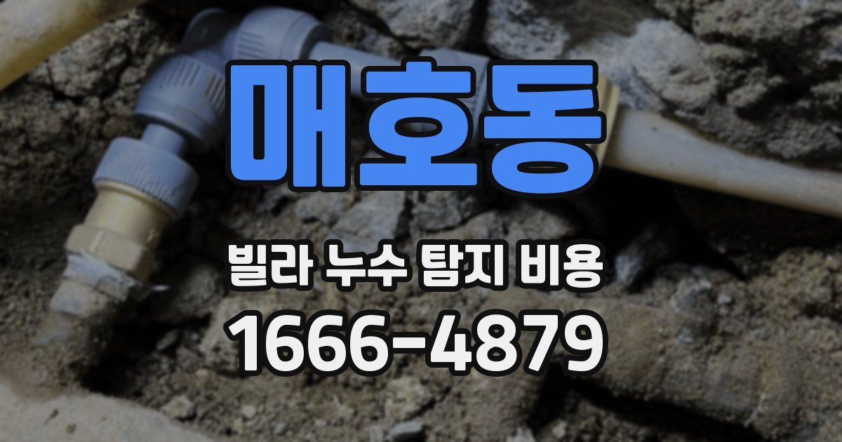 매호동 빌라 누수 탐지 비용