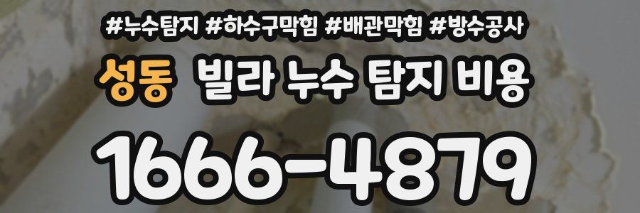 성동 빌라 누수 탐지 비용