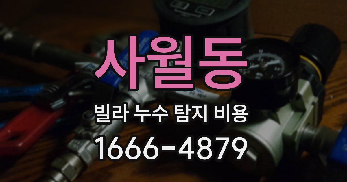 사월동 빌라 누수 탐지 비용