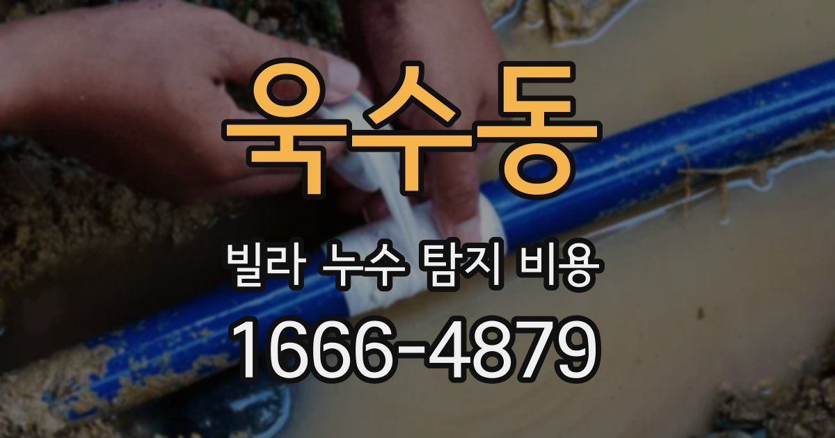 욱수동 빌라 누수 탐지 비용