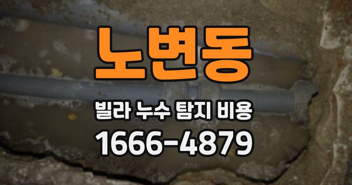 노변동 빌라 누수 탐지 비용