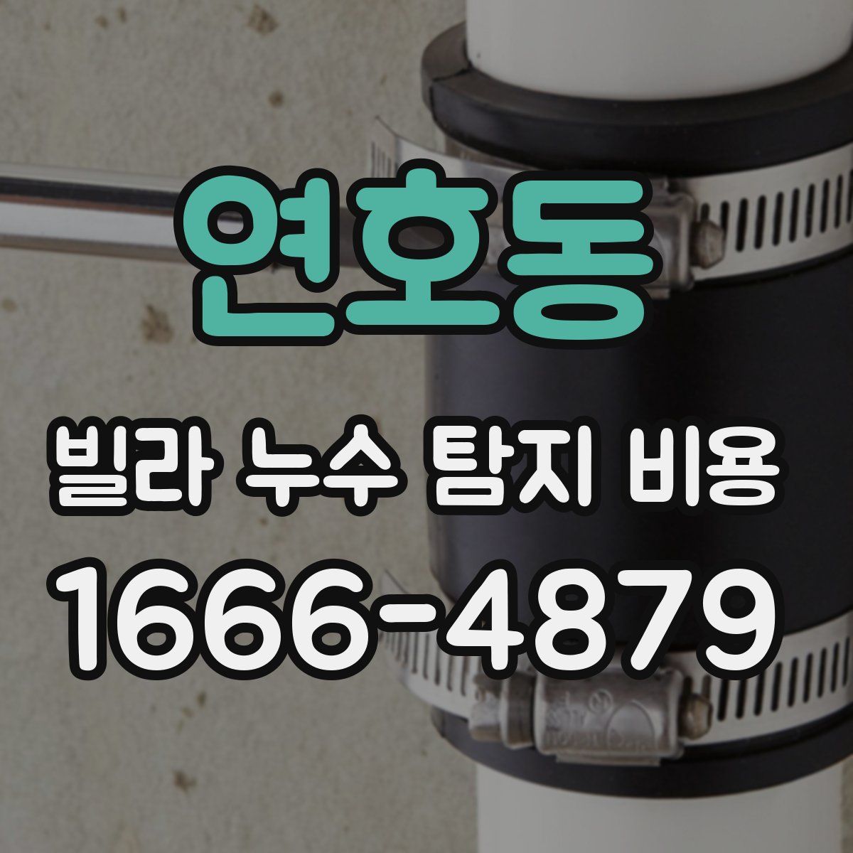 연호동 빌라 누수 탐지 비용