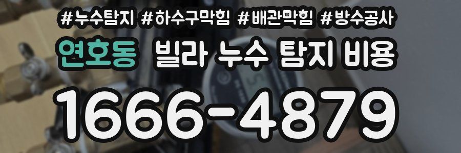 연호동 빌라 누수 탐지 비용