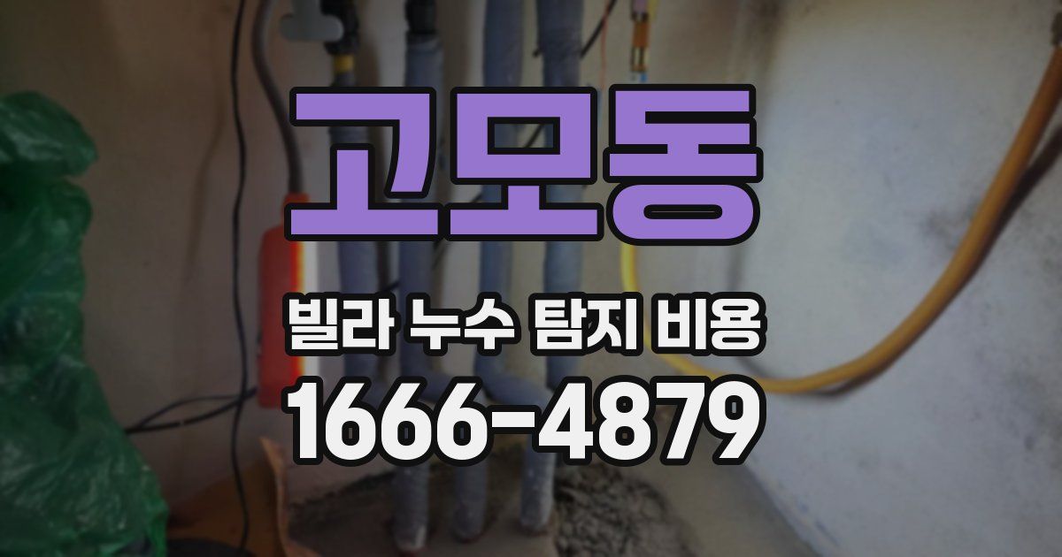고모동 빌라 누수 탐지 비용